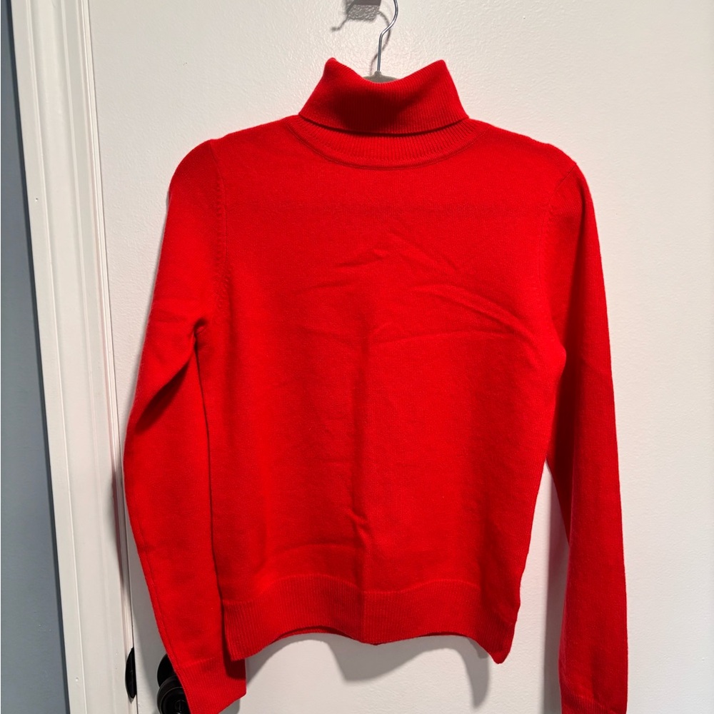 Elegant Scarlet Turtleneck Sweater